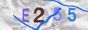 Immagine CAPTCHA