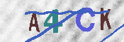 Immagine CAPTCHA