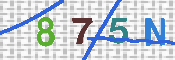 Immagine CAPTCHA
