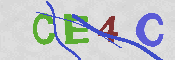 Immagine CAPTCHA