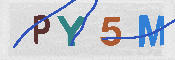Immagine CAPTCHA