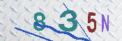 Immagine CAPTCHA