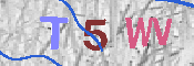 Immagine CAPTCHA