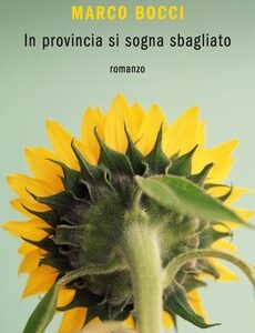 GIRASOLE VISTO DA DIETRO