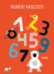 NUMERI NASCOSTI