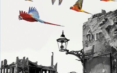 Venerdì 27 ore 18.00 NarrAzioni – Matteo Cavezzali presenta I FRATELLI MERAVIGLIA Ed. Mondadori