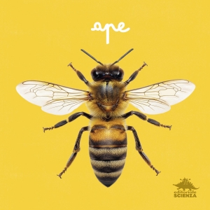 APE